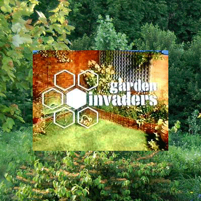 Garden Invaders